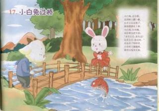 懂礼貌的小白兔