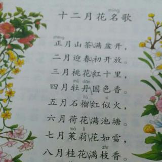 背诵语文园地一《十二月花名歌》