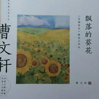 《青铜葵花》节选