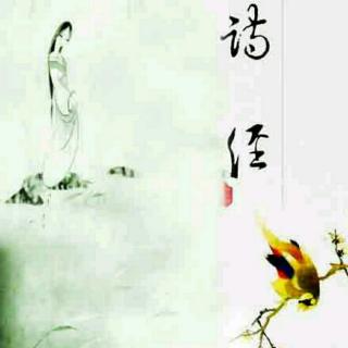 【129【秦风⑷】蒹葭】在线收听_生命的喜悦与富足_荔枝FM