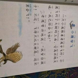 小鹰学飞