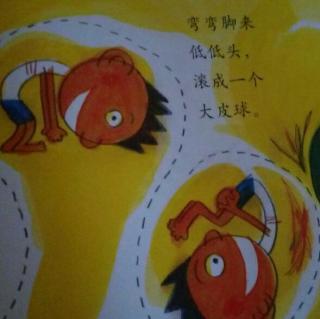 大皮球
