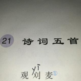 观刈麦