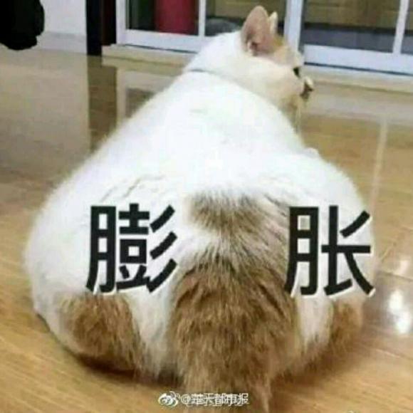 别捏死你的爱情