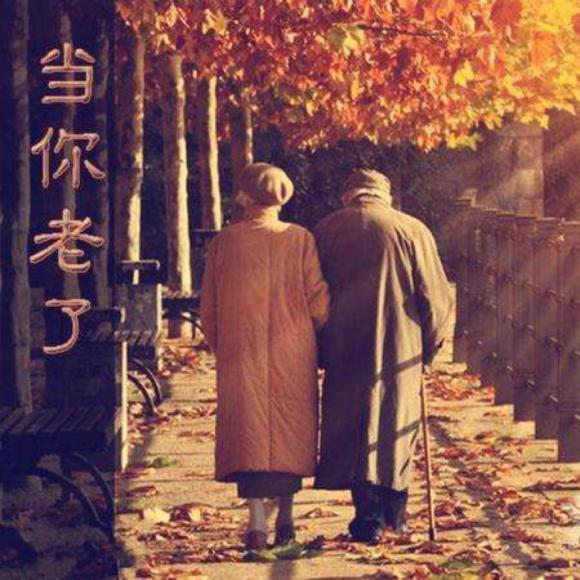 中英语 诗歌 《当你老了》 叶芝 when you are old-yeats