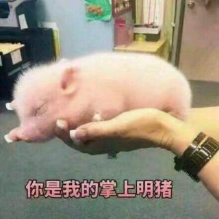 爱的就是你