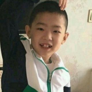 【小蝌蚪续集拼音】在线收听_稳场说曾经的播