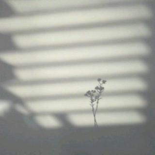 深情不及久伴,厚爱无需多言
