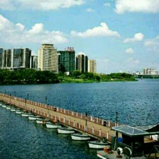 【四声歌练习】在线收听_了无痕的播客_荔枝