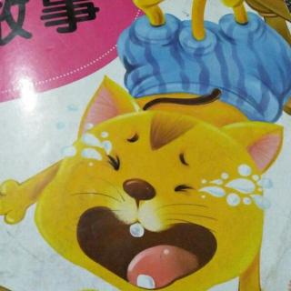 【老鼠捉猫】在线收听_柳林天能电池的播客_