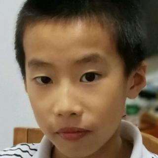 【谭璁聪《家狗和狼》】在线收听_Tony的播客