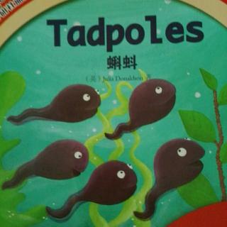 【tadpoles】在线收听_妹妹9999的播客_荔枝