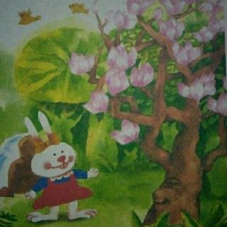 绘本《桃树下的小白兔》