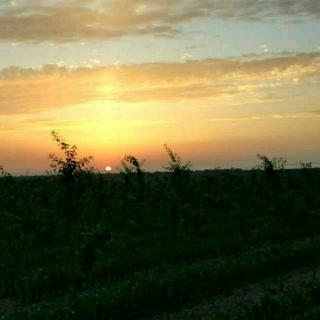 【大堰河 我的保姆】在线收听_白皛yun_荔枝FM