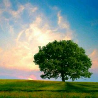 【王越选读课文《林海》】在线收听_王越的播