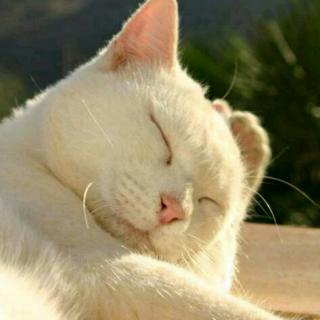 【秋冷了月光】在线收听_杜松子的播客_荔枝