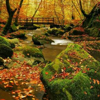 【废旧电池的危害 20171027】在线收听_媛媛