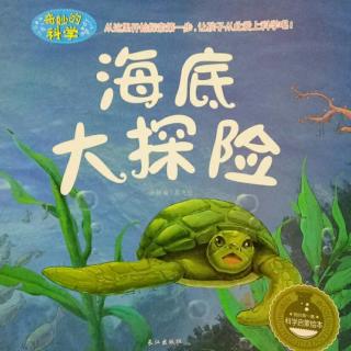 【海底大探险】在线收听_萤火虫的播客_荔枝FM