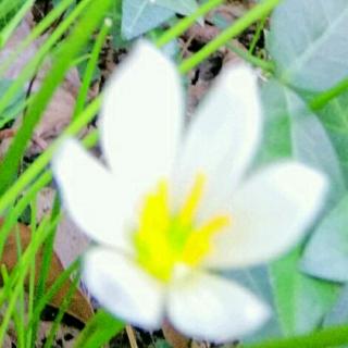 【温暖记忆的吆喝声 叶雨轩】在线收听_上官映