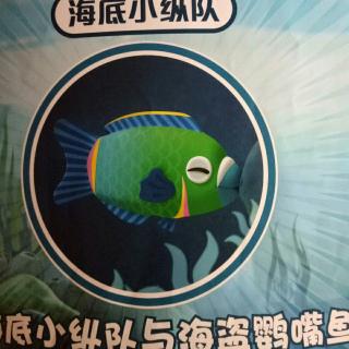 海底小纵队与鹦嘴鱼