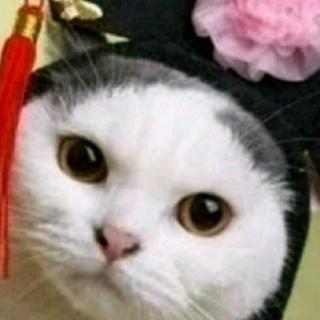 【狐狸的梦想】在线收听_花开有声的播客_荔