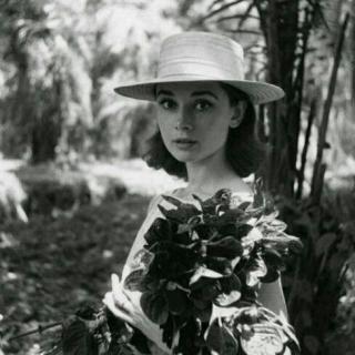 【sonnet 18】在线收听_the Promising的播客_