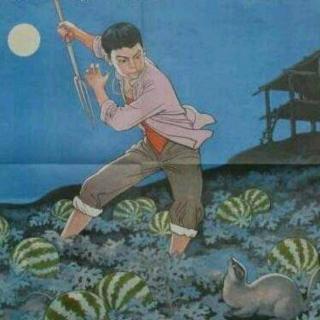 【少年闰土】在线收听_张拂昕的播客_荔枝FM