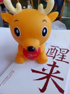 【教条示龙场诸生20171031】在线收听_空瓶