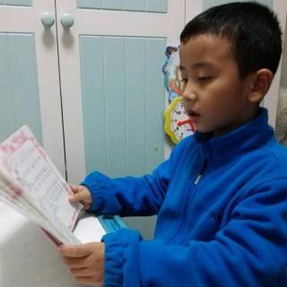 【《四个小伙伴》《小鸟念书》】在线收听_A