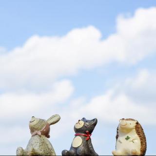 【一切都是最好的安排-辉姑娘】在线收听_芝麻馅儿_荔枝FM