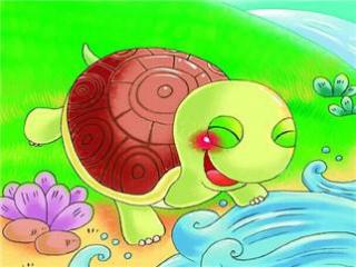 【乌龟伯伯买酒】在线收听_启东红黄蓝kiki 老