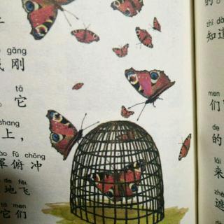 《法布尔昆虫记》之大孔雀蝶