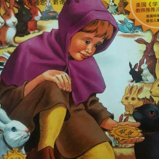 【a兔子的兔子(斐波那契数列)】在线收听_美美蝴蝶碳板那款经典图片