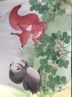 【小松鼠找花生】在线收听_苗苗姐的播客_荔