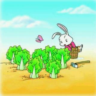 【小白兔和小灰兔】在线收听_HAPPY甜甜的播
