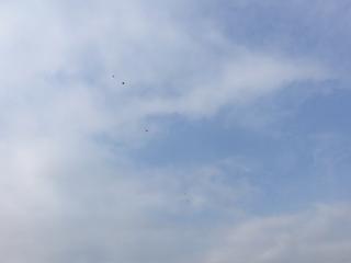 【Coco英语练习20171105】在线收听_可可豆