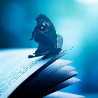 【钢琴曲《梦中的婚礼》】在线收听_萧浅瞳的