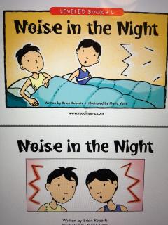 noise in the night