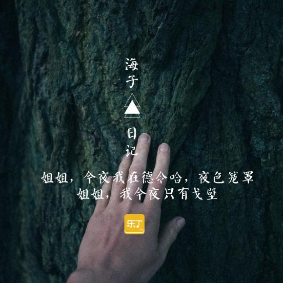 乐丁悦读:海子,日记,一切都在生长,今夜我只有美丽的戈壁