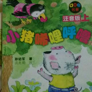 11月13日晚小猪唏哩呼噜之《大狼叼走了唏哩呼噜》