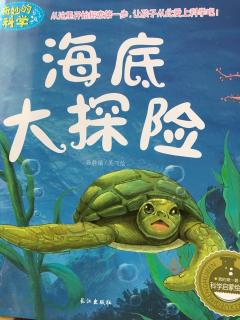 【海底大探险】在线收听_琪琪妈妈的播客_荔枝FM