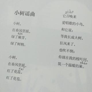 罗智锴《小树谣曲》