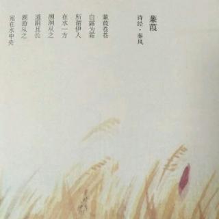 蒹葭