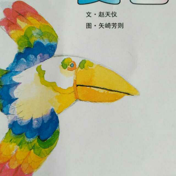 变色鸟