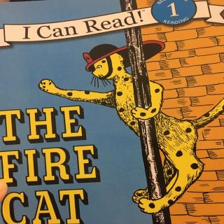 the fire cat