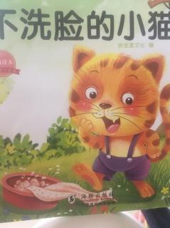 不洗脸的小花猫