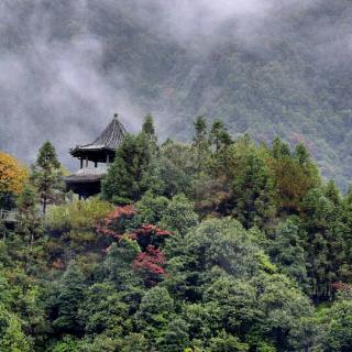 鹿柴(点点)