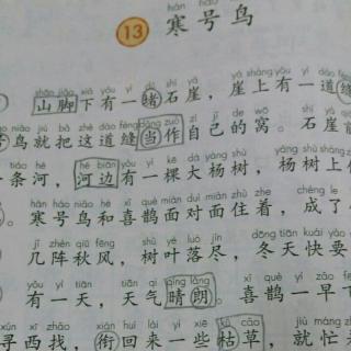 朗读课文13《寒号鸟》