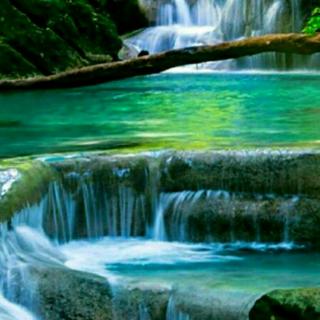 【亲子共读分角色读13课《寒号鸟》】在线收