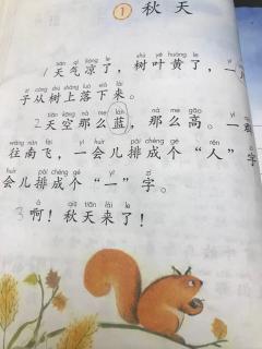 苏教版二年级语文上册教案下载_苏教版二年级上册语文练习8教案_苏教版二年级语文上册教案识字5